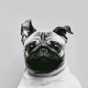 NOTHING TO SEE HERE!